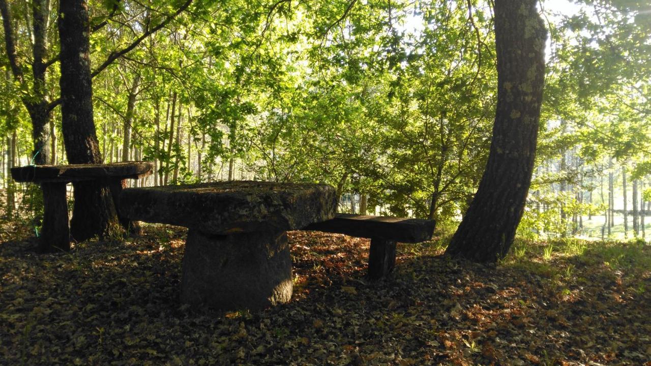 Quinta Das Fontes - Alojamento Rustico Local E Turismo Rural São Pedro do Sul Zewnętrze zdjęcie