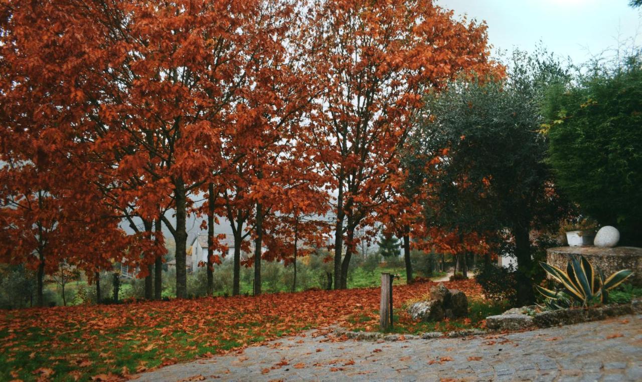 Quinta Das Fontes - Alojamento Rustico Local E Turismo Rural São Pedro do Sul Zewnętrze zdjęcie